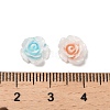 Luminous Resin Decoden Cabochons RESI-K036-06A-4