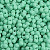 Baking Paint Glass Seed Beads X1-SEED-K010-A07-2