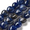 Natural Sodalite Beads Strands G-P528-C09-01-1