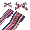 2 Rolls 2 Style Stripe Pattern Printed Polyester Grosgrain Ribbon OCOR-TA0001-38A-2