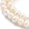 Natural Cultured Freshwater Pearl Beads Strands PEAR-C003-17C-4