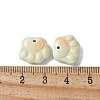 Natural Rainbow Alashan Agate Charms G-G194-01A-3