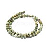 Natural Rhyolite Jasper Beads Strands G-F674-03A-6mm-2