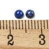 Natural Lapis Lazuli Cabochons G-Q173-01A-11-3