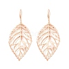 Rack Plating Brass Earrings for Women EJEW-M260-26RG-1