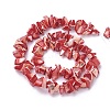 Freshwater Shell Beads Strands BSHE-L039-05-3