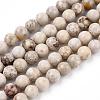 Natural Maifanite/Maifan Stone Beads Strands X-G-F353-8mm-3