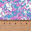Baking Paint Glass Seed Beads SEED-P006-03A-19-4
