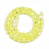 Freshwater Shell Beads Strands SHEL-T009-B15-01-2