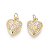 Golden Plated Brass Charms ZIRC-L087-038G-1