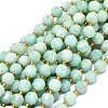 Natural Amazonite Beads Strands G-O201B-67A-1