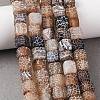 Natural Weathered Agate Beads Strands G-NH0038-01C-1