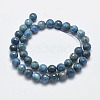 Natural Apatite Beads Strands G-F547-37-10mm-2