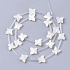 Natural White Shell Beads X-SSHEL-S264-070-2