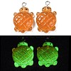 Gradient Color & Luminous Opaque Resin Pendants RESI-S011-01C-2