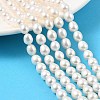 Natural Cultured Freshwater Pearl Beads Strands PEAR-I007-01D-02A-1