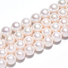 Natural Cultured Freshwater Pearl Beads Strands PEAR-N016-10A-2