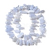 Natural Blue Lace Agate Beads Strands G-J403-03-2