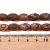 Frosted Natural Tibetan Agate 3-Eye Beads Strands G-T138-196-5