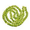 Transparent Glass Beads Strands GLAA-Q118-01A-B06-2