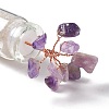 Chip Natural Quartz Crystal & Amethyst Display Decorations DJEW-D005-01R-01-5