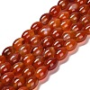 Natural Agate Beads Strands G-B079-E01-01A-1