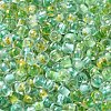 Transparent Glass Round Seed Beads SEED-B001-05A-10-3