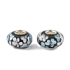 Lampwork & Brass Core European Beads LAMP-P019-01P-04-1