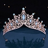 Alloy Rhinestone Crown Hair Bands for Woman Girls PW-WGB2F57-02-1