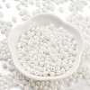 Baking Paint Glass Seed Beads X1-SEED-A032-02D-2