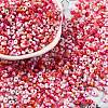 Baking Paint Glass Seed Beads SEED-C003-01H-1