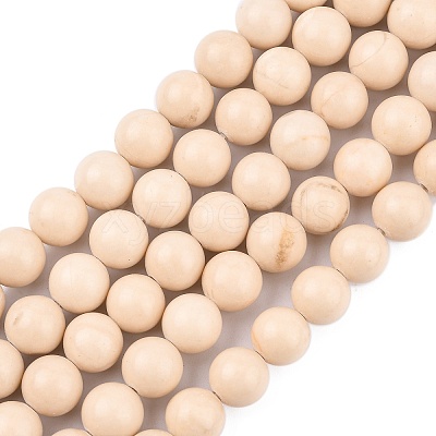 Natural Fossil Beads Strands LS-G-E110-8mm-2-1