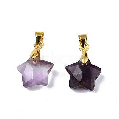 Natural Amethyst Charms X-G-N326-142-03-1