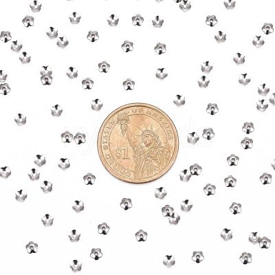 Tarnish Resistant 5-Petal 316 Surgical Stainless Steel Bead Caps STAS-N030-03P-1