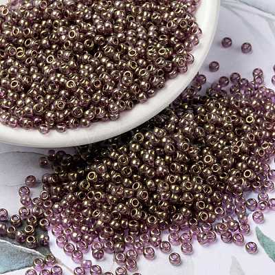 MIYUKI Round Rocailles Beads SEED-JP0009-RR2448-1