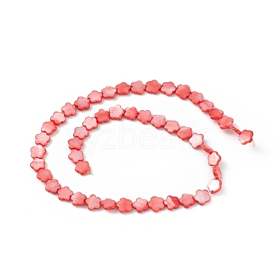 Natural Freshwater Shell Dyed Beads Strands SHEL-K001-001B-1