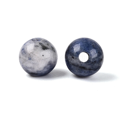 Natural Blue Spot Jasper Beads G-Q602-08C-17-1