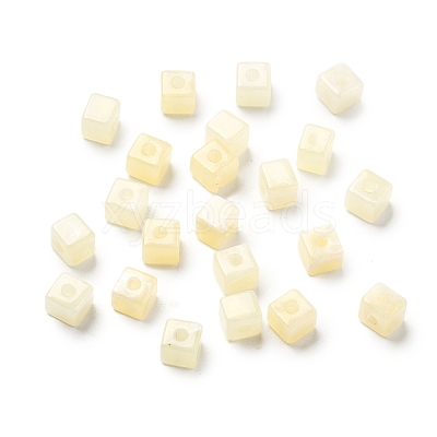Transparent Acrylic Beads OACR-H044-04A-01-1