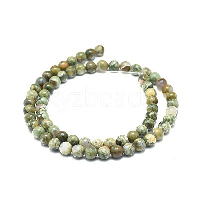 Natural Rhyolite Jasper Beads Strands G-F674-03A-6mm-1