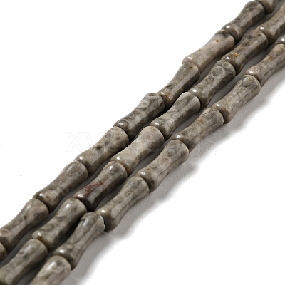 Natural Fossil Coral Beads Strands G-C245-03-1