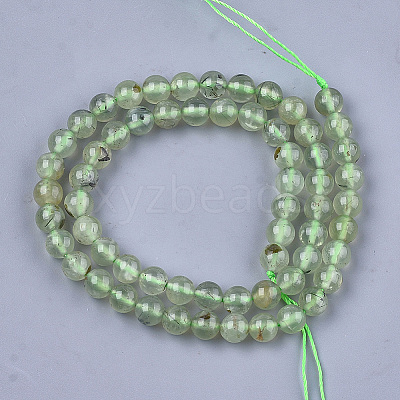 Natural Prehnite Beads Strands G-S333-6mm-032-1