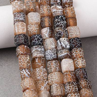 Natural Weathered Agate Beads Strands G-NH0038-01C-1