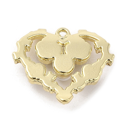 Spray Painted Alloy Pendants LS-PALLOY-D019-11G-02-1