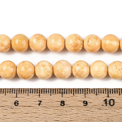 Dyed Synthetic Fossil Beads Strands G-T139-8mm-66B-1