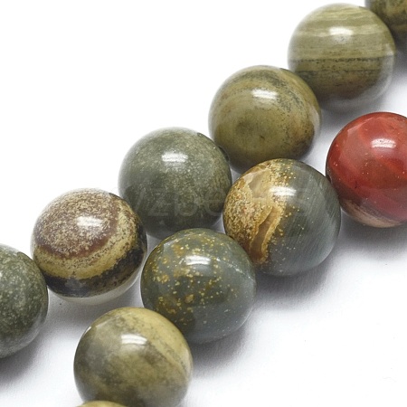 Natural Silver Leaf Jasper Beads Strands G-I254-04B-1