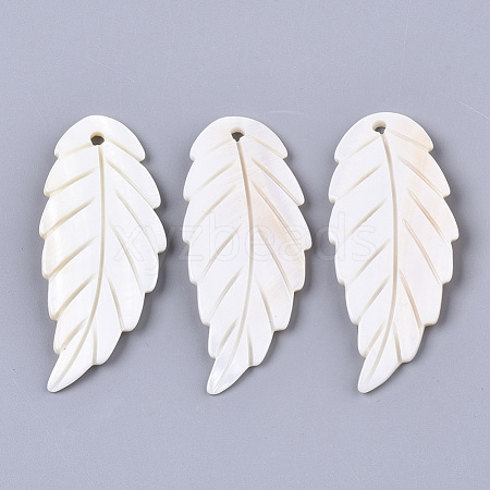 Freshwater Shell Big Pendants SHEL-S249-07-1