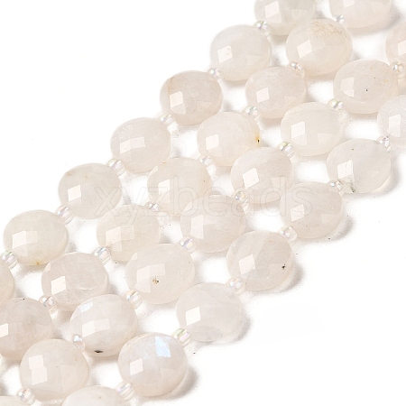 Natural Rainbow Moonstone Beads Strands G-B094-A06-02-1