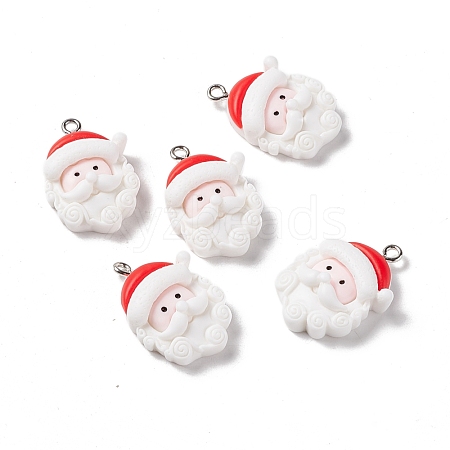 Christmas Theme Opaque Resin Pendants FIND-E025-14-1