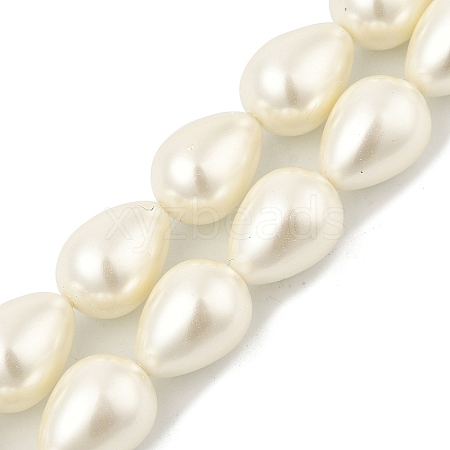 Teardrop Shell Pearl Beads Strands BSHE-XCP0001-12-1