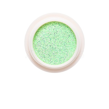 Nail Art Glitter Powder MRMJ-T063-376G-1